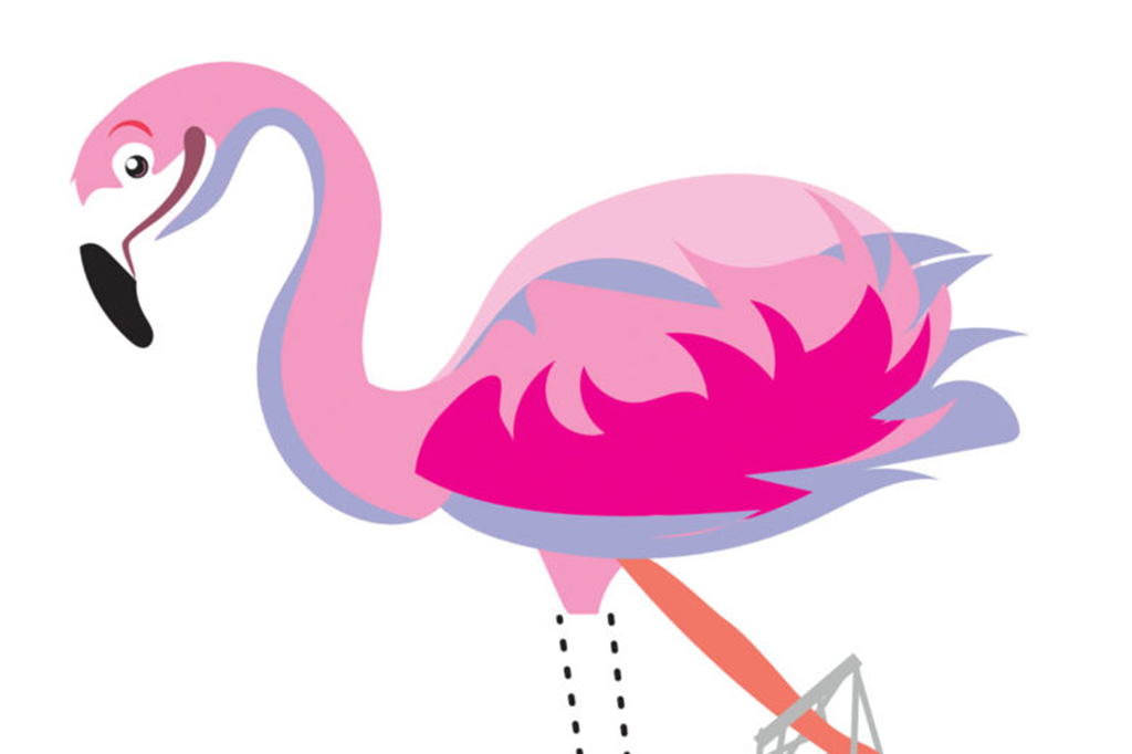 Flamingo cartoon